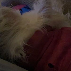 Meet your Posher, Nicky